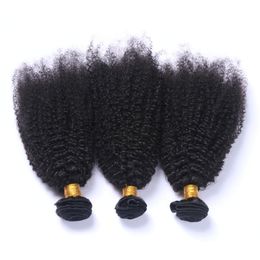 Afro Kinky Curly Brazilian Virgin Human Hair Bundles Deals 3Pcs Lot Brazilian Afro Curly Human Hair Weave Extensions Double Wefted 10-30"