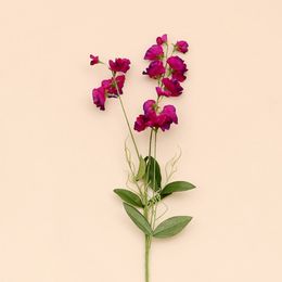 Cheap Supermarket Flowers