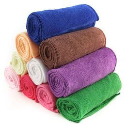 Microfiber Cleaning Cloths Pet Blanket Hypoallergenic Chemical-Free Dog Cleaning Cloth Fashion Pet Bath Towels Pet Supplies IC795