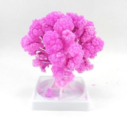iWish 10x8cm Visual 2017 Artificial Magic Paper Sakura Trees Magical Christmas Growing Tree Desktop Cherry Blossom Toys For Children 20PCS