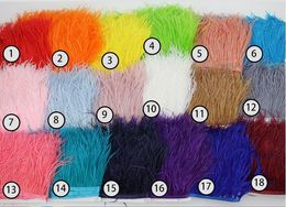 Wholesale Ostrich Feather Decorations Feathers Accessories Real Feathers Size 10cm-15cm Multiple 19 Colours Black Grey Purple Free Shipping