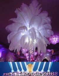 Wholesale Purple Wedding Centerpiece Feathers For Resale Group