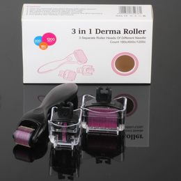 3 in 1 functions needles disk micro needle skin roller Titanium alloy derma roller facial beauty roller