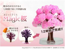 iWish 2017 Visual 14x11cm Pink Big Grow Magic Paper Sakura Tree Japanese Magically Growing Trees Kit Desktop Cherry Blossom Christmas 20PCS