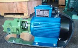 Low Price Cast Iron Transformer Gear Oil Pump 50L/min