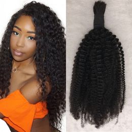 Indian Kinky Curly Bulk Hair Extensions Natural Black Colour Human Hair No Weft for Braiding FDshine