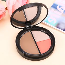 Wholesale- ACEVIVI Multifunction makeup kit Blush Highlighter Contour 3 In 1 matte Bronzer Highlighter makeup set