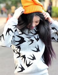 Wholesale- Style Women Winter Autumn Swallow Pattern Sweatshirt Pullover Long Sleeve Loose Jumper
