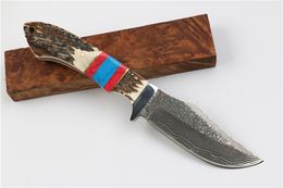 edc bowie knife Australia - New Damascus Bowie Blade Hunting Knife Antler Handle Outdoor Camping Hiking Survival Straight Knives edc pocket knife
