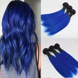 Wholesale Price Ombre Blue Hair Weaves Brazilian Straight Human Hair Extensions Remy Hair Bundles 100G one Piece