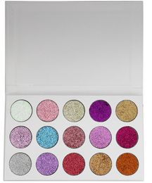 no logo 15 color sparkle eyeshadow palette in stock choice High light eye shadow Glitter golden onion powder welcome OEM