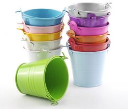 100pcs Metal Wedding Party Shower Gift Potted Plants Mini Small Assorted Colored Tin Pails Buckets Bucket Candy Chocolate Box