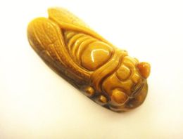 natural yellow tiger eye stone Hand carved Cicada charm pendant necklace