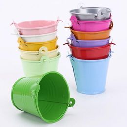 200pcs Metal Wedding Party Shower Gift Potted Plants Mini Small Assorted Colored Tin Pails Buckets Bucket Candy Chocolate Box