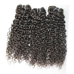 Jerry curly Weaves 8A Best Quality Human Hair Extensions Peruvian Malaysian Indian Cambodian Brazilian Hair Fastest Delivery