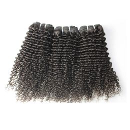 Brazilian Hair Brazilian Indian Malaysain Peruvian Kinky curly with Closure Brazillian weave bundles 100% Human hair free shipping