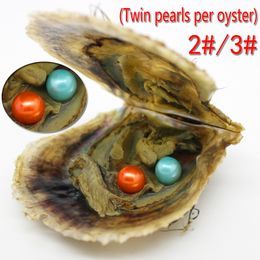 Wholesale 30 pieces 2 # and 3 # Colours Akoya seawater twins pearl oysters 6-7mm4A round vacuum packaging pearl free shipping