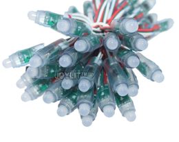 free shipping 100pcs 5v 12V WS2801 12mm Modules Diffused Digital RGB LED pixel string light Individually LED module 50pcs/string IP68