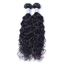 Brazilian Virgin Human Natural Water Wave Unprocessed Remy Hair Weaves Double Wefts 100g/Bundle 2bundle/lot Can be Dyed Bleached