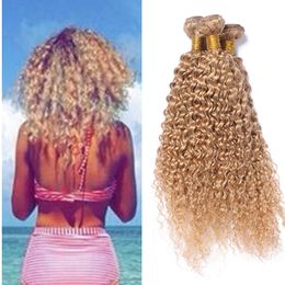 Peruvian Blonde Curly Hair Extensions Honey Blonde Human Hair Weave 3 Bundles Cheap Color #27 Kinky Curly Blonde Weaving Weft No Tangle
