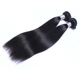 Brazilian Virgin Human Hair Straight Unprocessed Remy Hair Weaves Double Wefts 100g/Bundle 2bundle/lot Can be Dyed Bleached