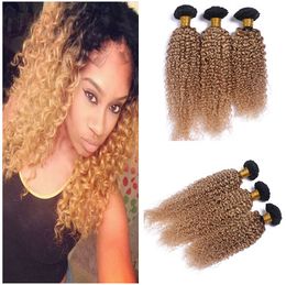 Kinky Curly Brazilian Honey Blonde Ombre Human Hair Weave Bundles 3Pcs Lot 1B/27 Dark Root Light Brown Ombre Virgin Human Hair Weaves