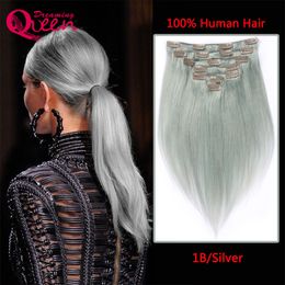 Straight Hair Clip In Brazilian Virgin Human Hair Extensions Silver Grey Color 7 Pieces/Set 120g Clips Gray Color Hair Extension