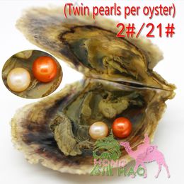 holesale 30pcs 6-7mmAAAA round Akoya twins pearl vacuum packaging love wish pearl mysterious surprise birthday gift student experiment