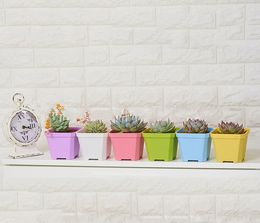 Wholesale High Quality thick Colourful Square mini Flower Pot Indoor planting for Succulent Home Garden Decoration home Chamber tables decor