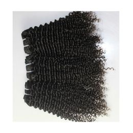 Kinky curly Weaves 9A High Quality Human Hair Extensions Peruvian Malaysian Indian Cambodian Brazilian Hair Fastest Delivery