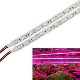 5m 5050 LED grow light Strip led Plant grown light 12V Red Blue Waterproof light for Greenhouse Hydroponic plant growing lamp