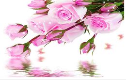 Custom any size Rose reflection background wall mural 3d wallpaper 3d wall papers for tv backdrop