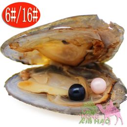 Selling 2018 popular hope pearl oyster 6-7 mm artificial Colour 28-color twins in Akoya oyster shell put pearls