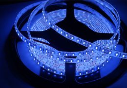 3014SMD LED Strip 12V 24V 5M/roll 300Leds Nonwaterproof IP20 and waterproof IP65 IP68 Warm White/Cool White Flexible Light 60Leds/M Strips