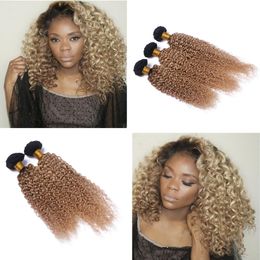 Honey Blonde Curly Weave Nz Buy New Honey Blonde Curly Weave