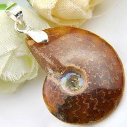 Wholesale 10 Pieces 1LOT Special Natural Ammonite Fossil Gem 925 Sterling Silver USA Israel Wedding Engagement Pendants Party Jewellery