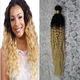 blonde ombre virgin hair Canada - Ombre Weave Blonde T1B 613 Malaysian Virgin Hair Kinky Curly Weave Human Hair 100g Malaysian Kinky Curly Virgin Hair 1 PCS