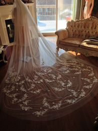 New Arrival Cathedral Wedding Veils Three Meters Long With Lace Applique Two Layers Custom Made Cheap Bridal Veil