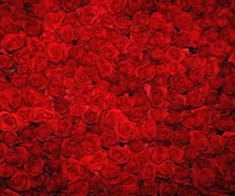 shop digital photography backgrounds backdrops for weddings uk digital photography backgrounds