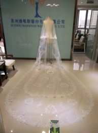 Best Selling Two Layer Crystal Wedding Veils 3 Metres Long Real Image Cathedral Length Lace Applique Tulle Bridal Veil With Comb