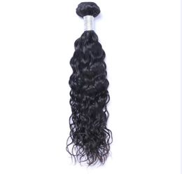 Malaysian Virgin Human Hair Natural Wave Water Wave Unprocessed Remy Hair Weaves Double Wefts 100g/Bundle 1bundle/lot Can be Dyed Bleached