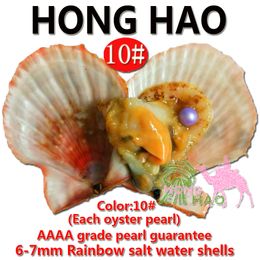 Rainbow shell pearl freshwater vacuum packaging oyster pearl, love pearl oyster different color pearl mysterious surprise birthday gift 6-7