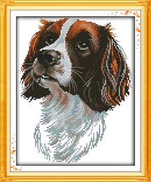 The Irish Setter painting Handmade Cross Stitch Craft Tools Embroidery Needlework sets counted print on canvas DMC 14CT /11CT