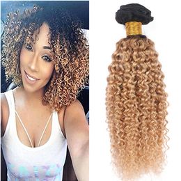 Kinky Curly Virgin Indian Honey Blonde Ombre Human Hair Weave Bundles 3Pcs Lot Two Tone 1B/27 Light Brown Ombre Human Hair Extensions