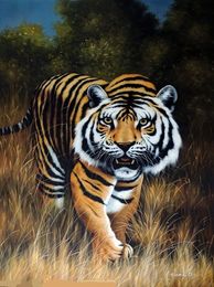 Cheap Tiger Hand Painted Oil Paintings