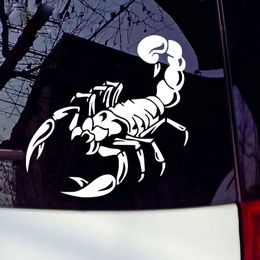 30cm Reflective Car Stickers scorpion Waterproof Decal Sticker cover/anti scratch for car body Light brow front back door bumper