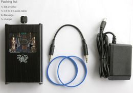 Freeshipping new Bear bile Portable Rechargeable Dual tube amp headphone amplifier B4 phone