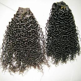 Sample Bouncy Kinky Curly IndianTemple Human Hair 2pcs/lot 200g Thick Bundles Wefts Fabulous African Curly Top 7A