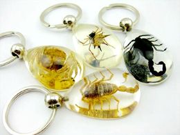7 keychain handmade scorpion crab spider lucid vogue yqtdmy jewelry