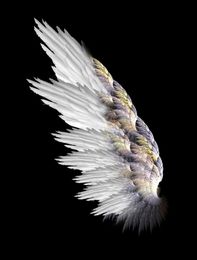Customised Unique Adults white Soft angel feather wings Wedding New Year Party decorations pros Pure handmade high quality fairy wings